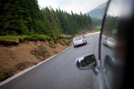 Trees with Possible Prior Fall Risk Cause Injury to Couple Driving in a Car