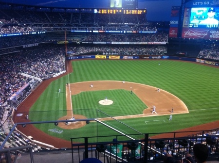 Security Expert Witness Discusses Fight at Baseball Stadium