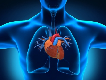Pediatric surgery expert witness discusses artery puncture during tracheoesophageal fistula repair surgery