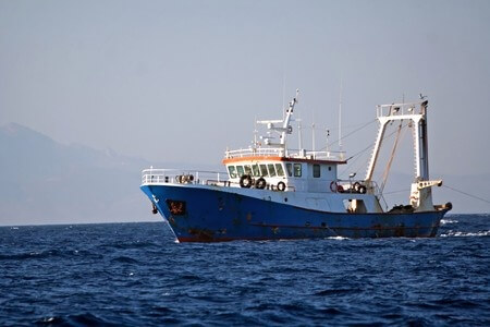 Commodities Experts Evaluate Breach of Contract