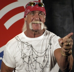 Hulk Hogan Expert Witness