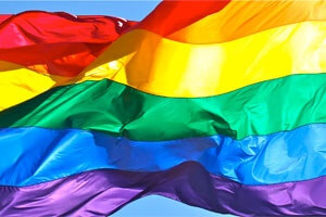 Same Sex Marriage Expert Witness