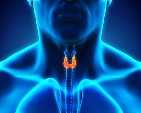 ENT Doctor Removes Parathyroid Glands Unnecessarily
