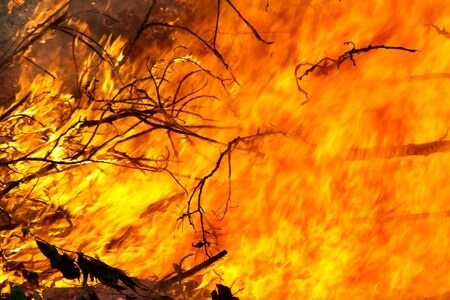 Fire Expert Witness: Firefighter Death Could Have Been Avoided