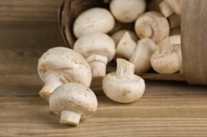 Econometrics Expert Witness Comments on Mushroom Price Fixing