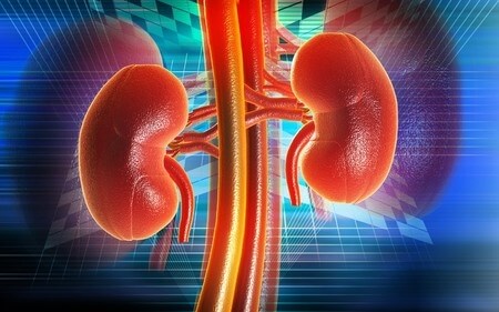 Doctor Fails to Biopsy Urinary Lesion