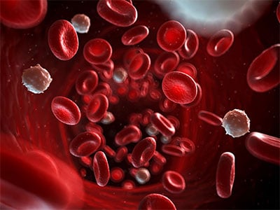 Patient is Killed by Coumadin Overdose