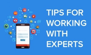 Tips for Working With Experts