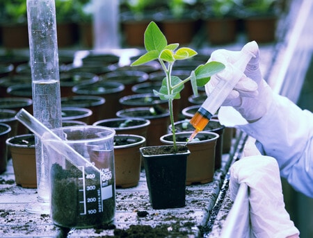 Soil Chemistry Expert Witness Comments on Source of PCB Contamination