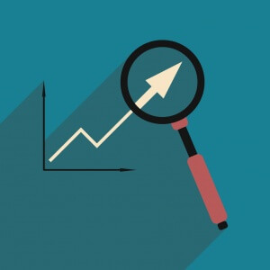 Economist Expert Witness