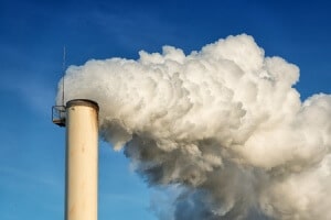 Environmental Expert Witness