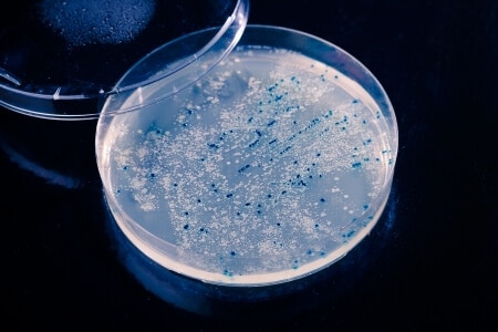 Leading Neurologist Opines on Nerve Damage From Toxic Mold Exposure