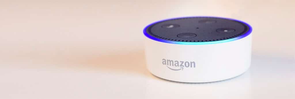 The Amazon Echo: Expert Witness in a Murder Trial?