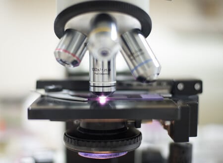 Oncology Expert Evaluates Delayed Intervention for Pancreatic Cancer Patient