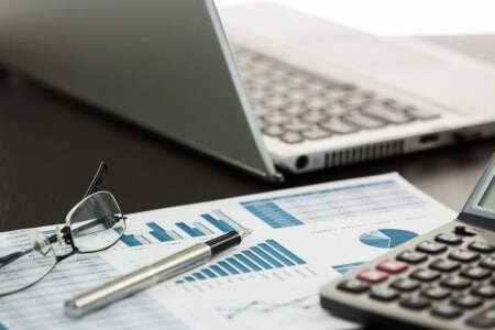 Experts Opine on Company’s Ability to Predict Bankruptcy