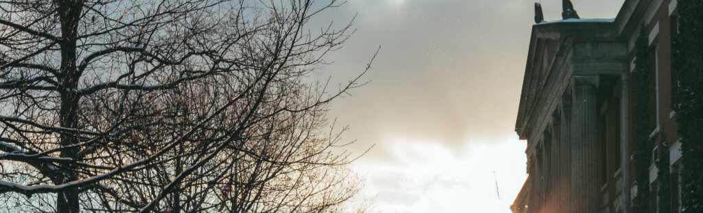 Understanding the College Admissions Cheating Scandal Lawsuits