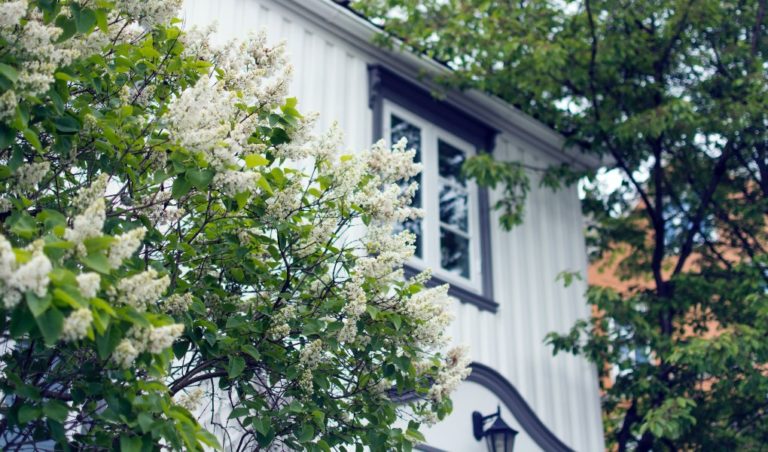 Foster Care System Fails To Remove Child From Abusive Home