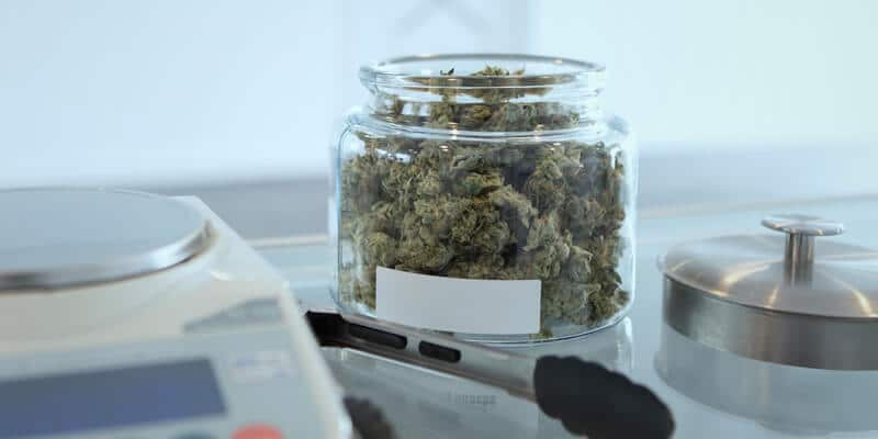 Legal Cannabis Product Liability Lawsuits