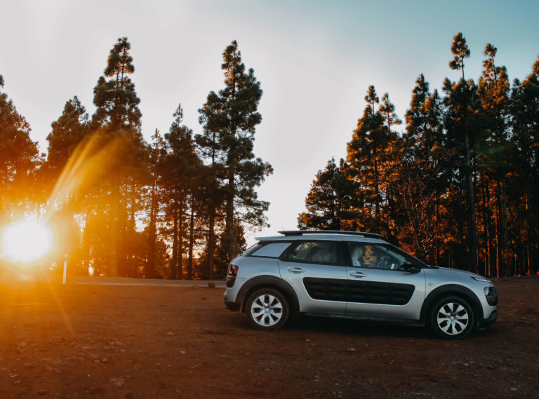 Court Admits Minimally Qualified Automotive Expert Witness Testimony