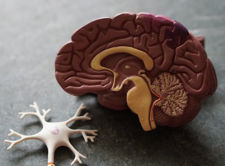 Neurosurgery Expert is Unqualified to Opine on Neuro-otolaryngology Standard of Care