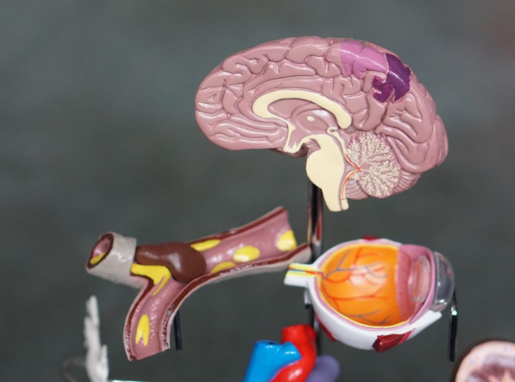 Immunology Expert’s Contradicting Opinions Are Grounds for Exclusion