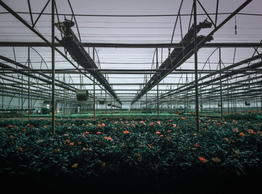 Insurance Expert Permitted to Opine on Industry Best Practices