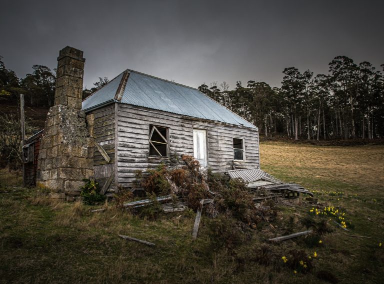 Insurance Expert Witness Testimony Admitted Despite Trial Court’s Decision to Exclude