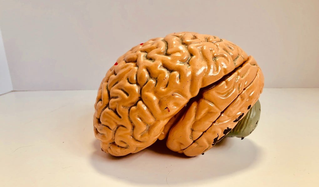 Psychiatry Expert’s Expertise in Behavioral Conditions Challenged