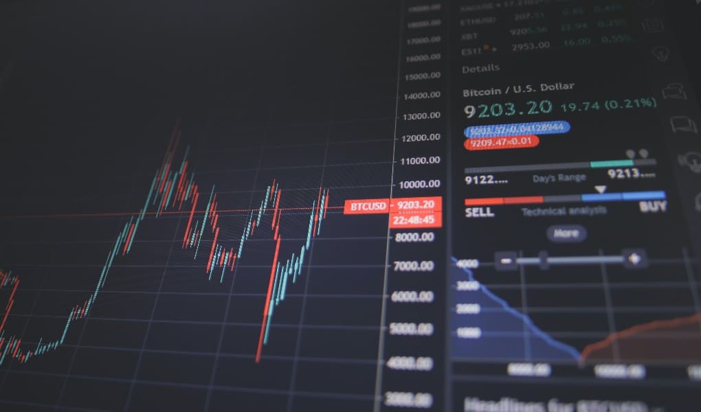 Securities Expert’s Analysis of Empirical Studies Excluded