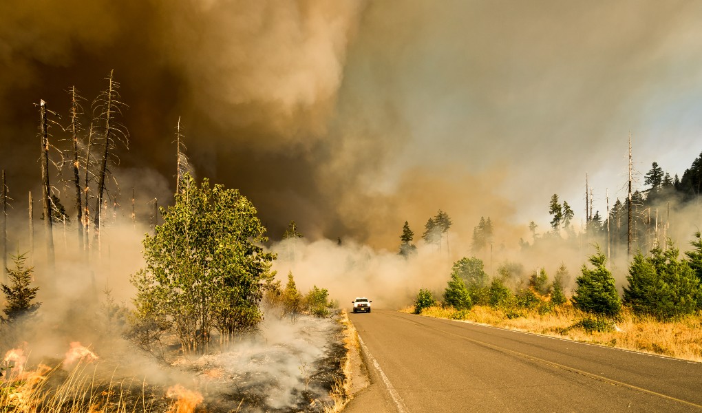 Possible Causes for Destructive Colorado Fire Trigger Litigation Potential