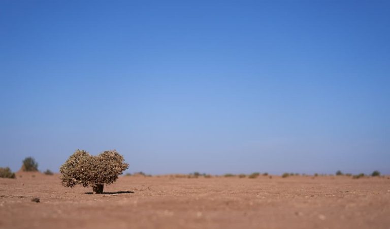 Geology Expert’s Testimony on Arsenic Admitted per Reliance on Published Paper